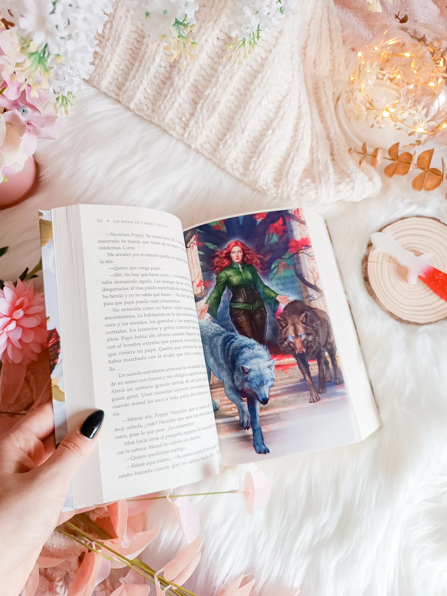 A Kingdom of Flesh and Fire Overlays