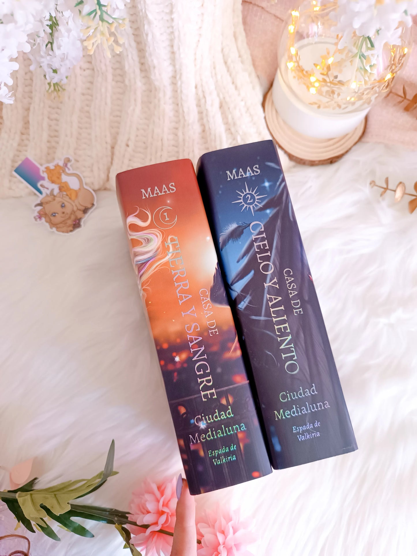 Dust jacket Crescent City Spain Edition
