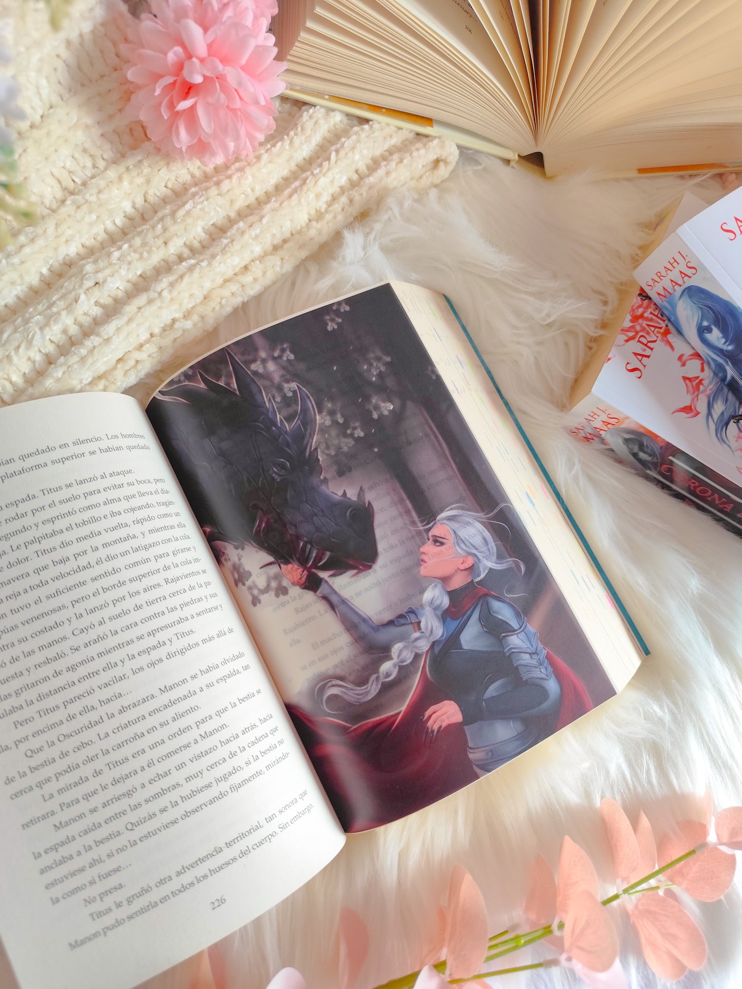 Heir of Fire Overlays