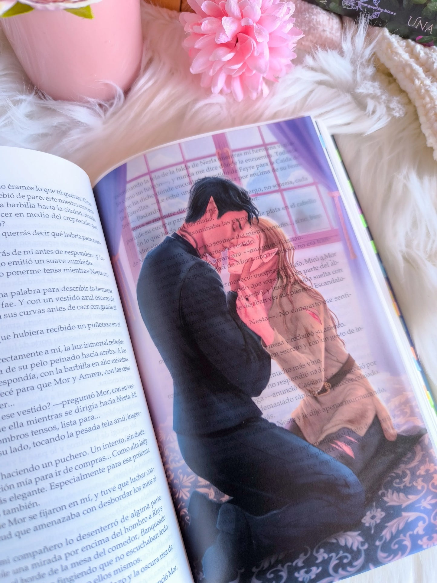 Overlays de ACOWAR