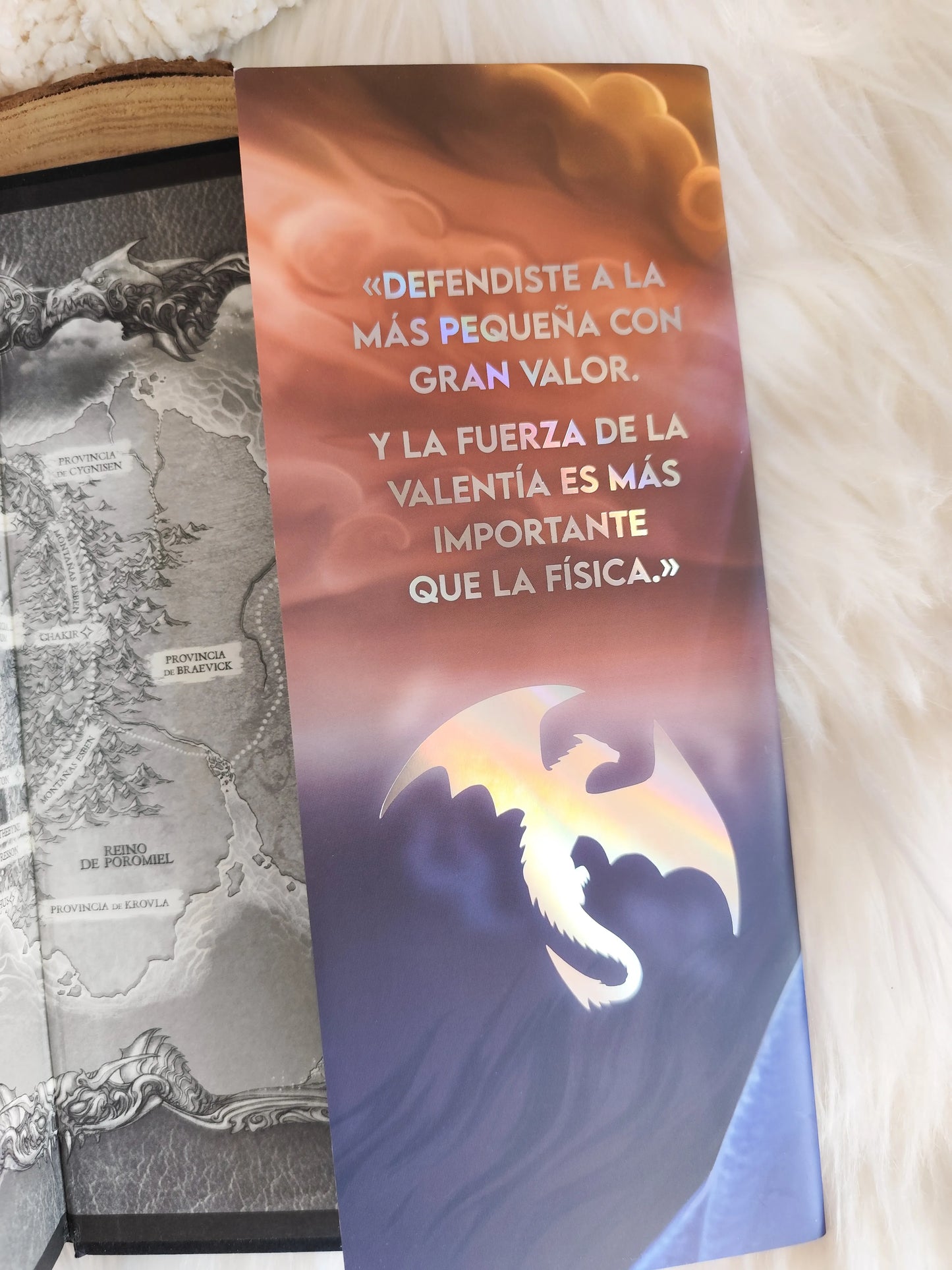 Fourth Wing Dust Jacket Spain Edition