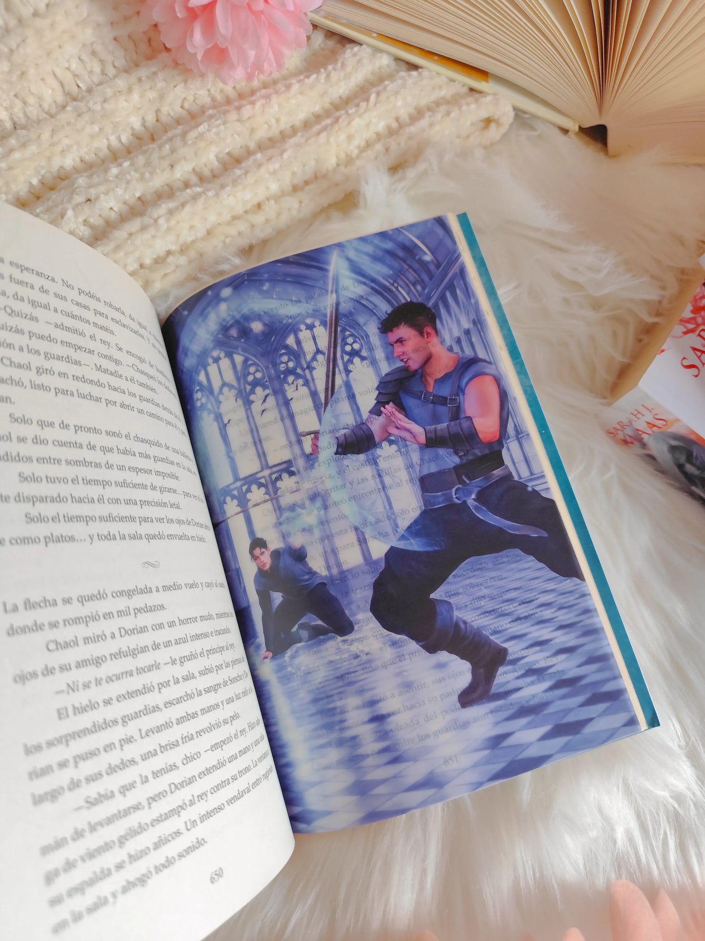 Heir of Fire Overlays