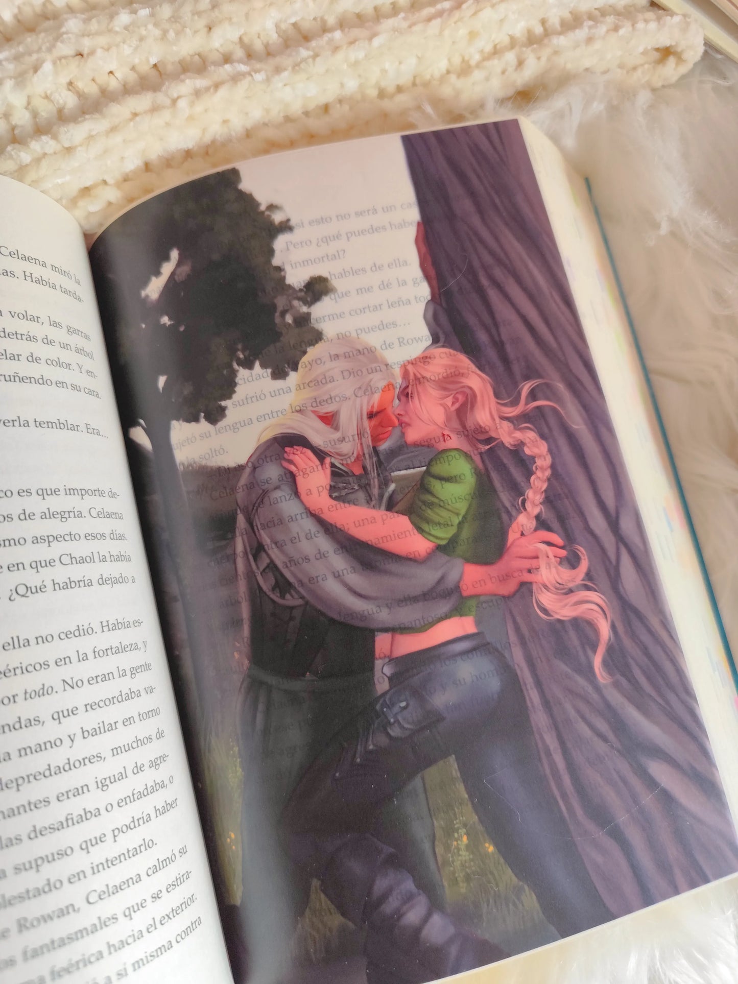 Heir of Fire Overlays