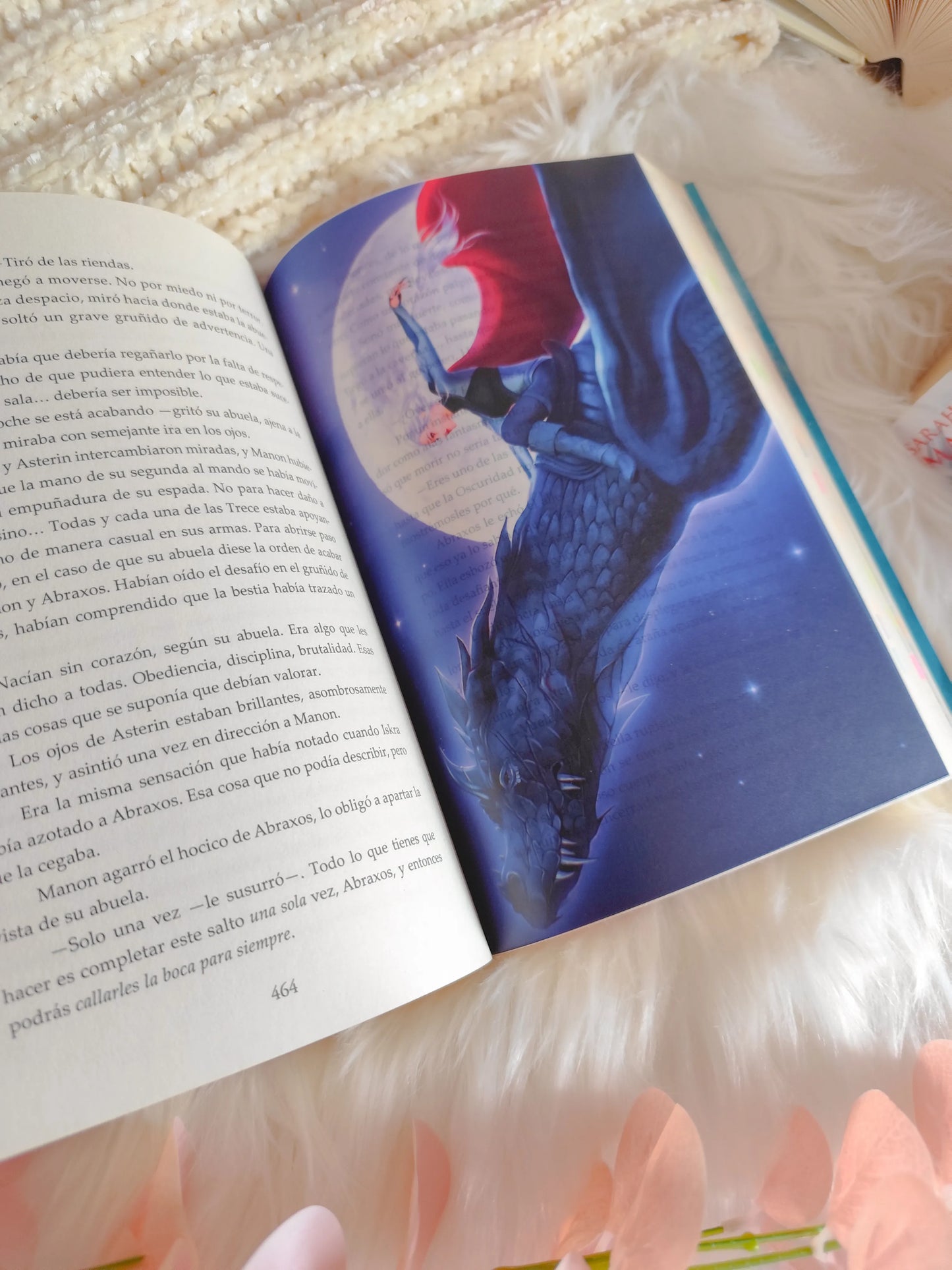 Heir of Fire Overlays