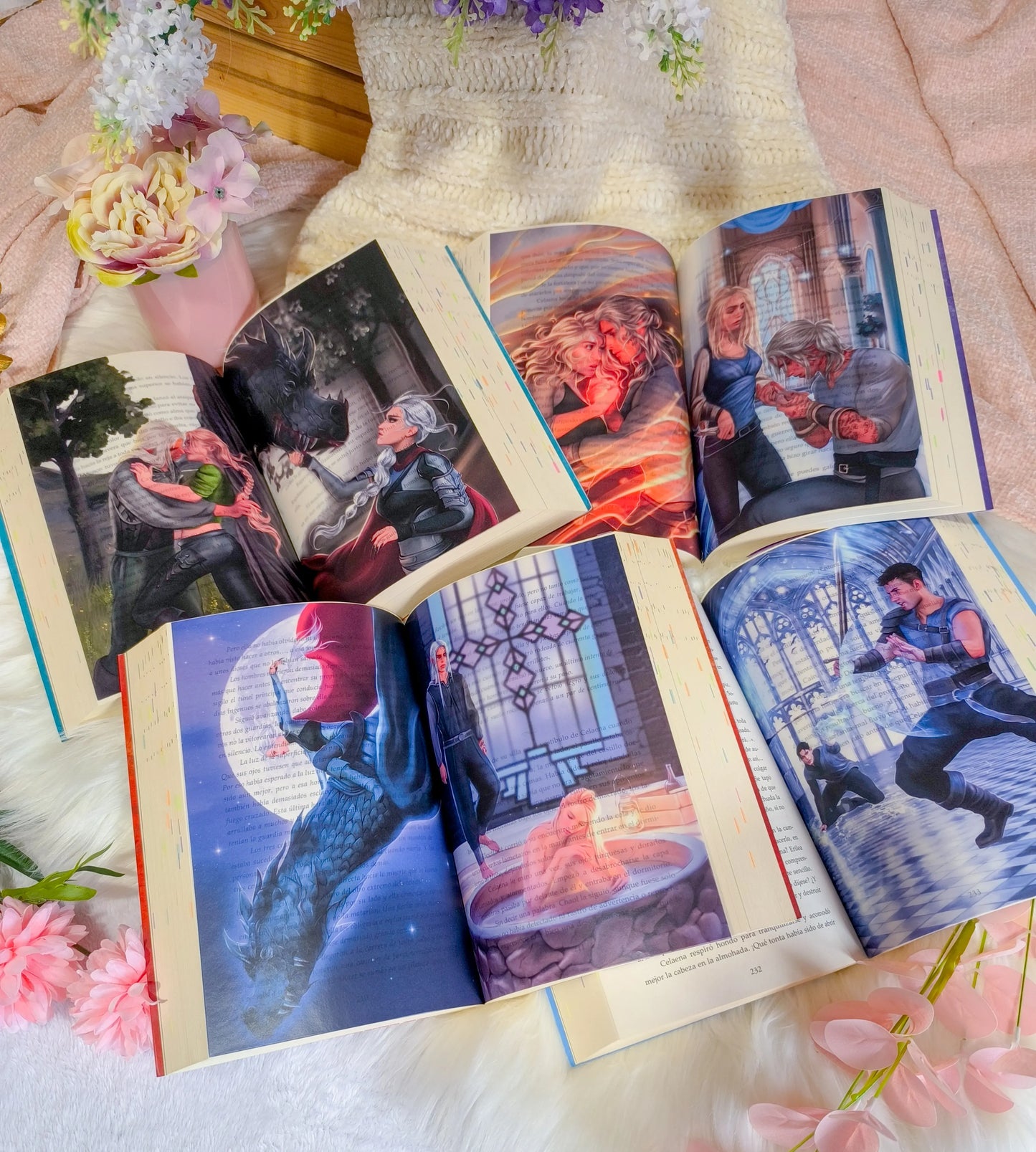 Heir of Fire Overlays