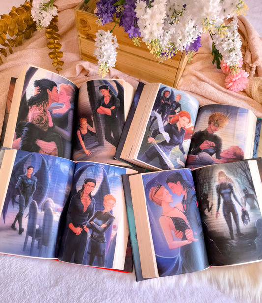ACOMAF Overlays